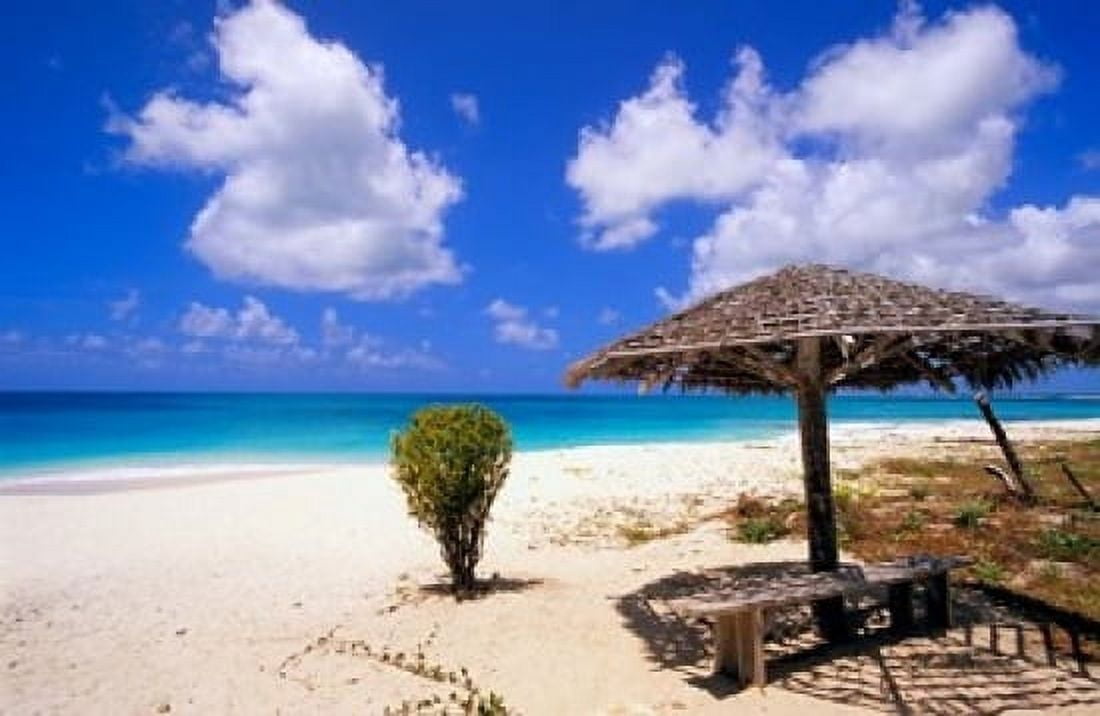 Coco Point Beach Barbuda Antigua Canvas Art - Michael DeFreitas DanitaDelimont (36 x 24)