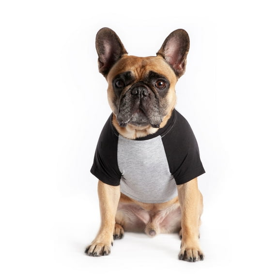 Coco + Rebel Pet Gray Graphic Tee