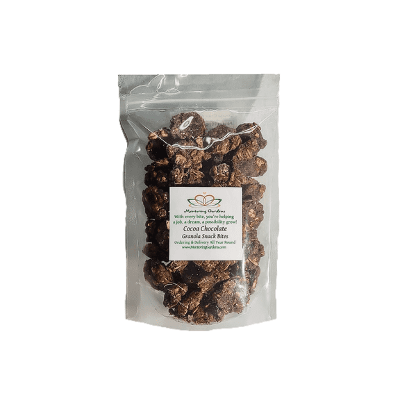 Cocoa Chocolate Granola Snack Bites