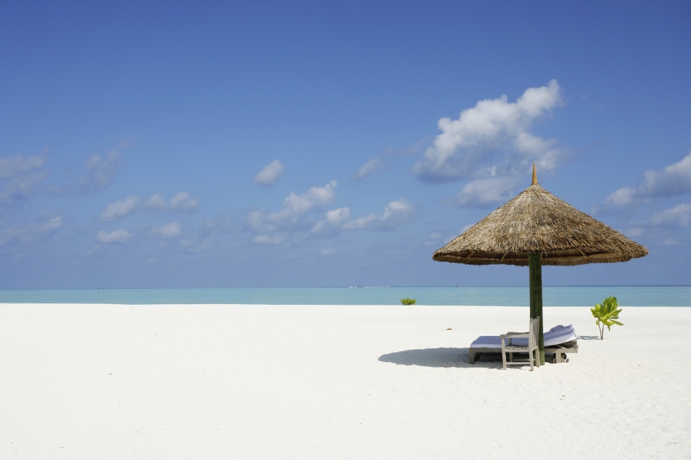 Cocoa Island Maldives Canvas Art - Chris Caldicott Design Pics (19 x 12)