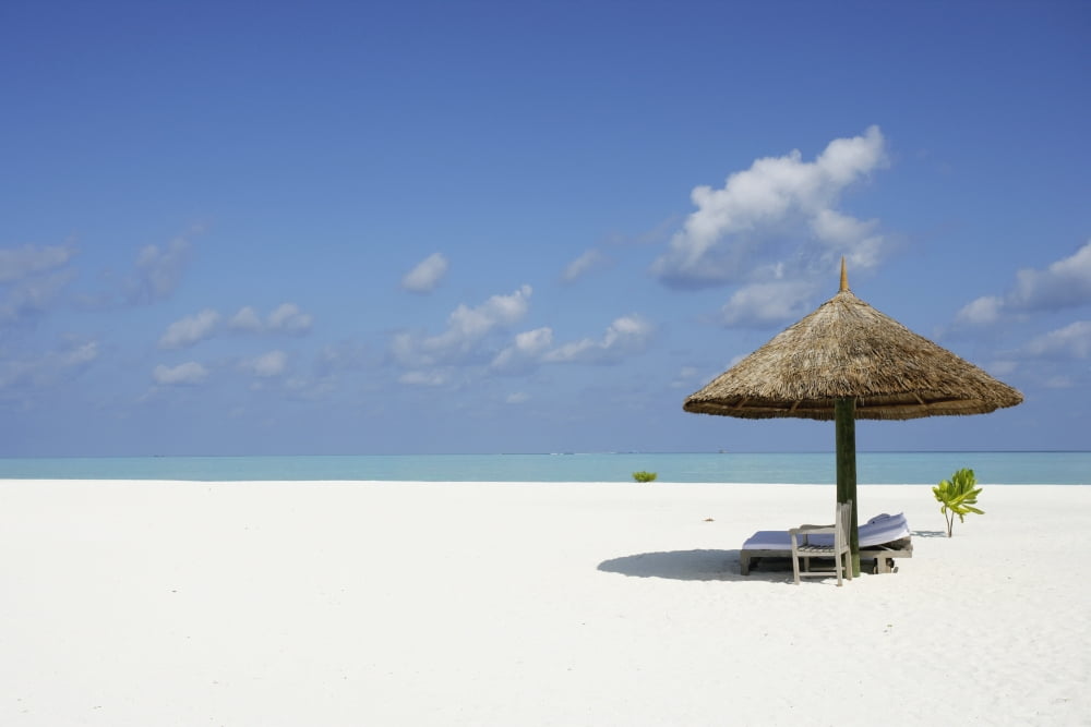 Cocoa Island Maldives Canvas Art - Chris Caldicott Design Pics (38 x 24)