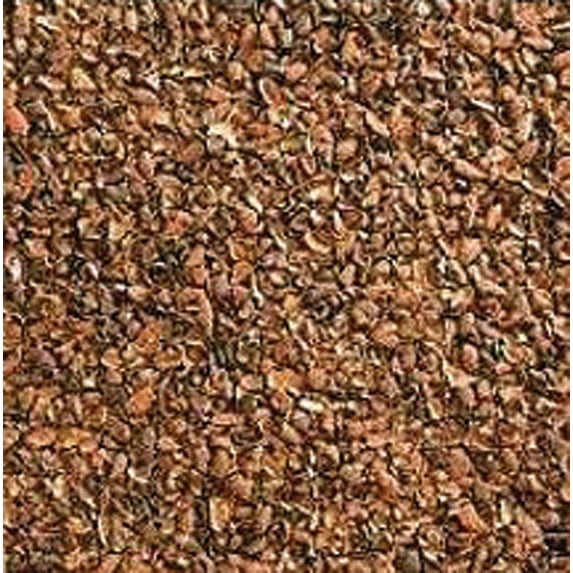 Cocoa Shell Mulch