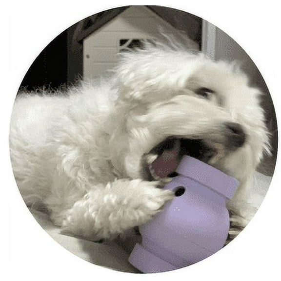 Coconi Ball Dog Nose Work, Dog Snuffle, Dog Training, Pet Activity, Stress Release, Instinct Interactive, Indoor Outdoor, Small to Large Dog, Smell Training