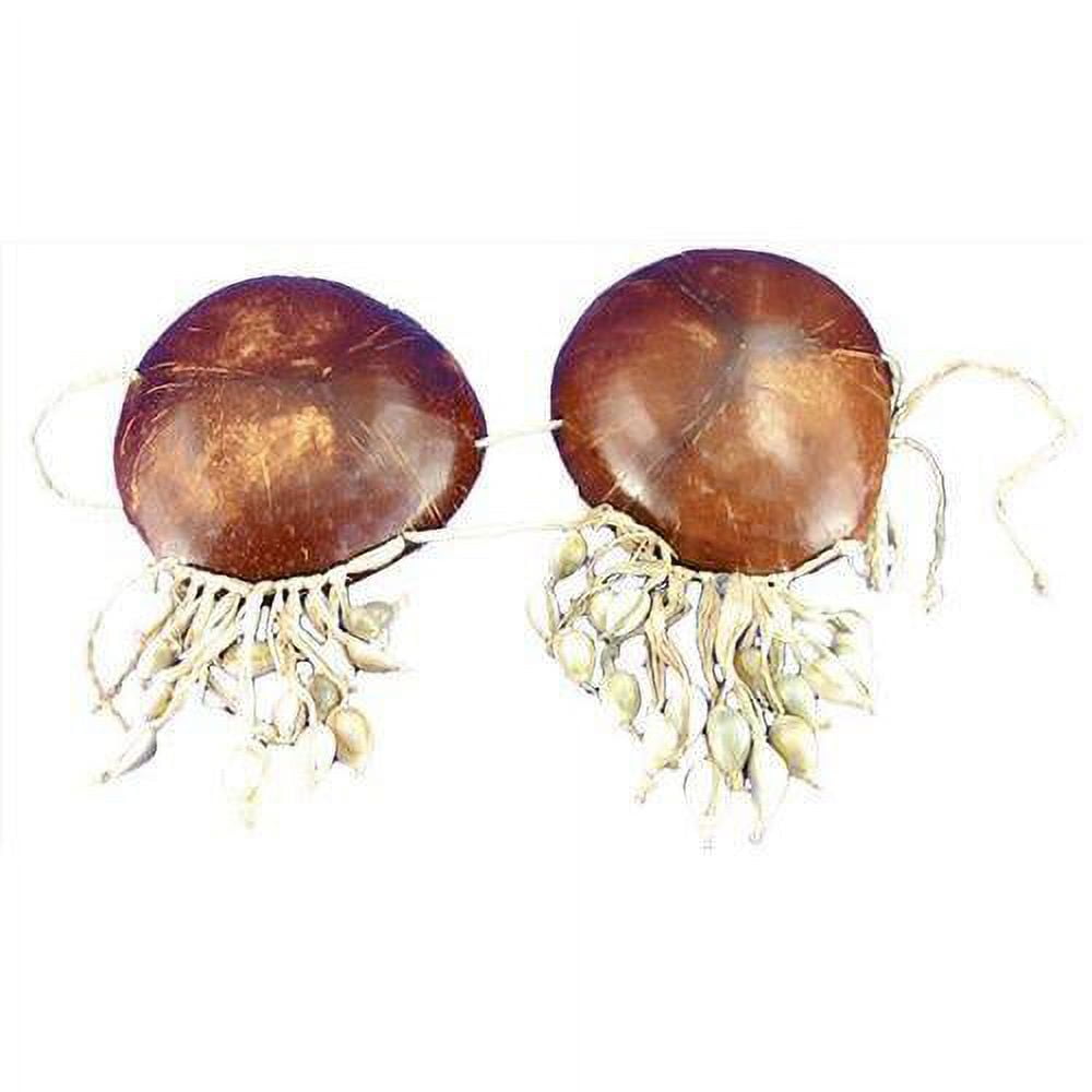 Coconut Bikini With Shells