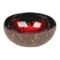 thumbnail image 1 of Coconut Decorative Bowl,Handcrafted Coconut Shell Key Bowl Fruit Snack Holder Container for Door Entryway Table Dry Snacks, 1 of 6