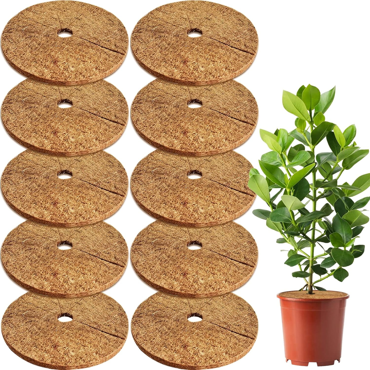 Coconut Fibers Mulch Ring Tree Protector Mat,100% Natural Coco Coir ...
