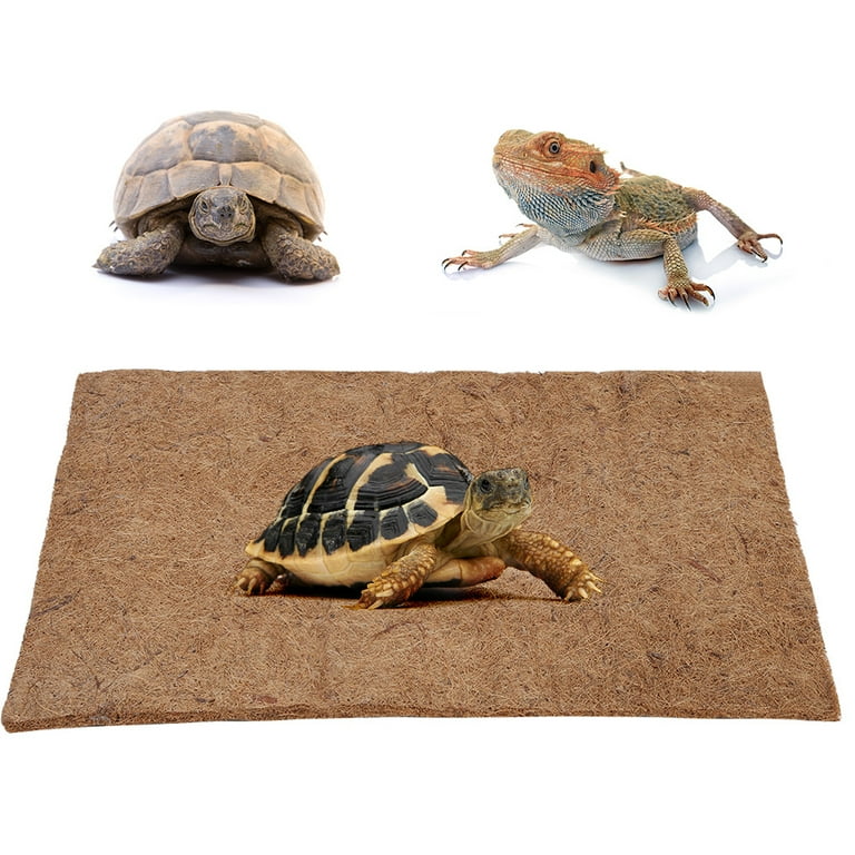 Tortoise cage accessories best sale