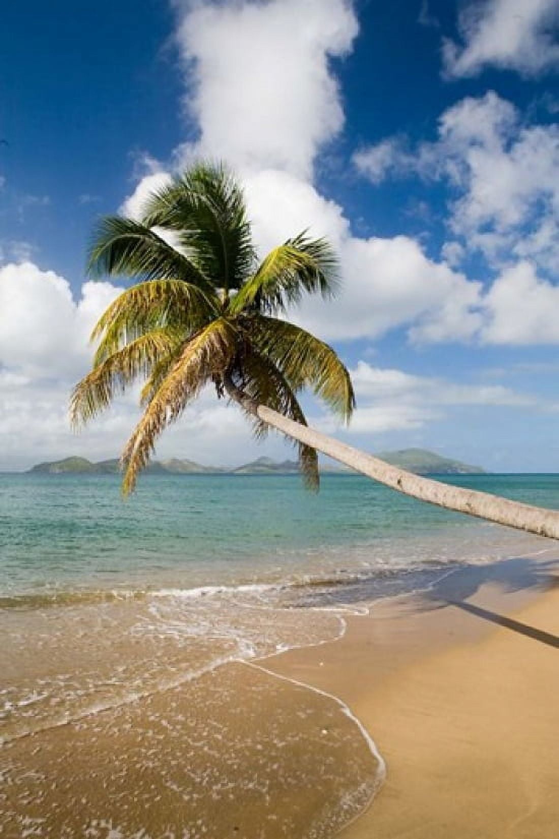 Coconut Grove Beach Cades Bay St Kitts Caribbean Canvas Art - Greg Johnston DanitaDelimont (18 x 26)