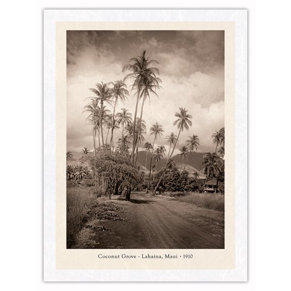 Coconut Grove - Lahaina, Maui 1910 - Vintage B&W Photograph - Japanese Unryu Rice Paper Art Print 24 x 32 in