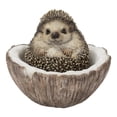 thumbnail image 1 of Coconut Hedgehog, 1 of 2