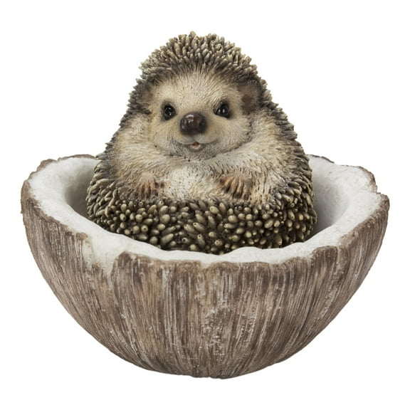 Coconut Hedgehog