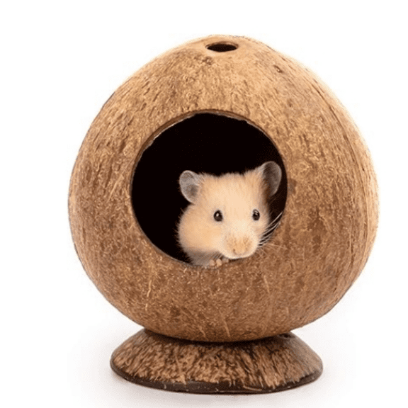 Coconut Hut Hamster House Bed for Gerbils Mice Small Animal Cage Habitat Decor