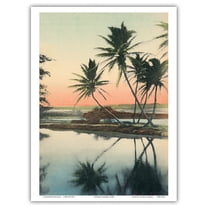 Coconut Lagoon - Hawaii & South Seas Curio Company - Vintage Hawaiian Hand-Colored Postcard by Ray Jerome Baker c.1908 - Master Art Print (Unframed) 9in x 12in