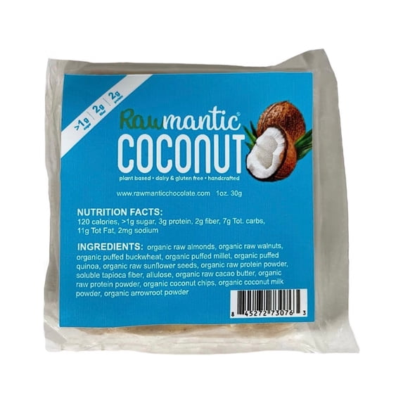 Coconut Mini Vegan Protein Bar. 1oz
