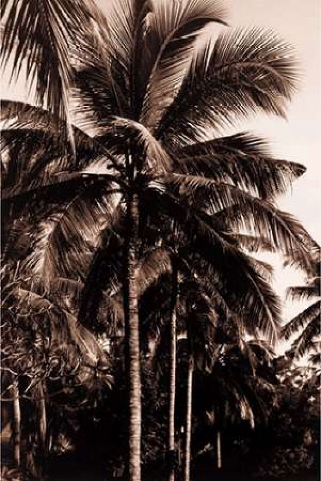 Coconut Palm Bali Canvas Art - Cyril Blue (12 x 18)