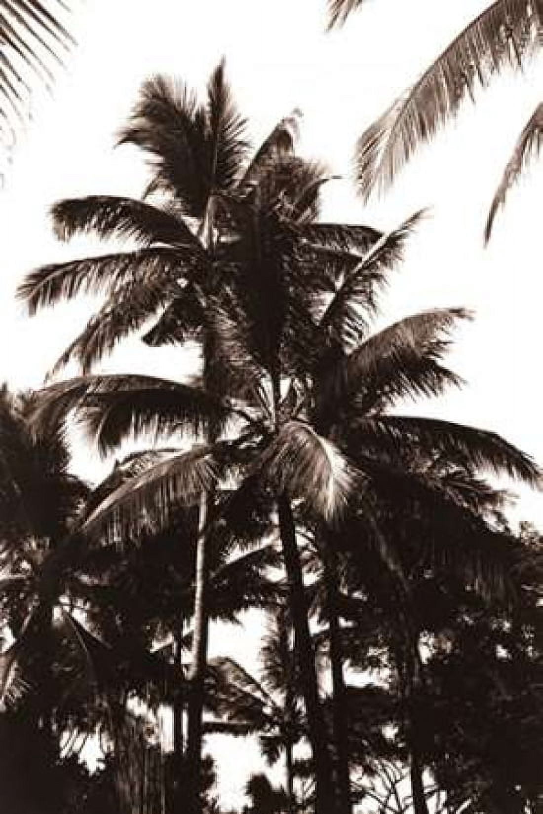 Coconut Palm Bali Canvas Art - Cyril Blue (12 x 18)