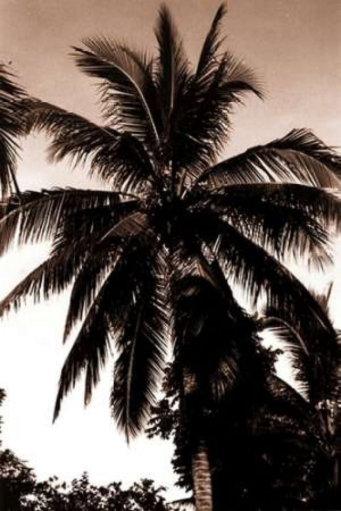Coconut Palm Bali Canvas Art - Cyril Blue (12 x 18)