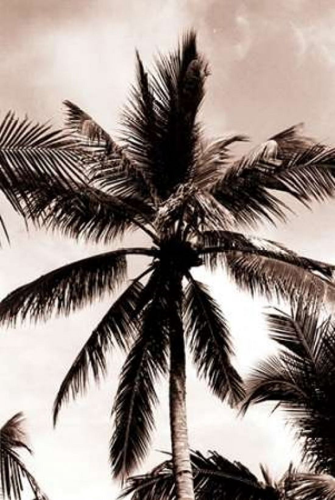 Coconut Palm Bali Canvas Art - Cyril Blue (12 x 18)