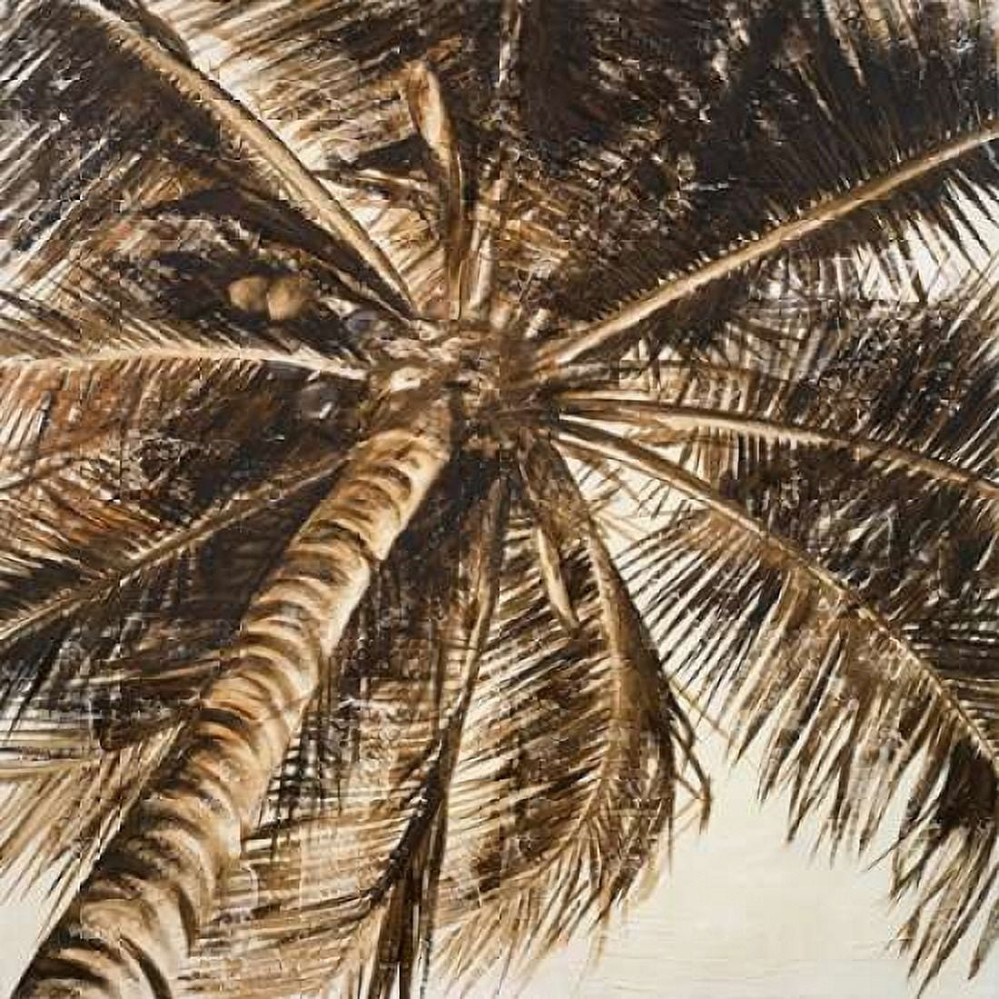 Coconut Palm II Canvas Art - Patricia Pinto (24 x 24)