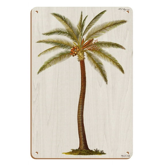 Coconut Palm Tree Cocos nucifera - Griffith Hughes 18th Century Natural History of Barbados - Vintage Botanical Illustration by James Mynde c.1750 - 8 x 12 inch Vintage Wood Art Sign