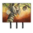 thumbnail image 1 of Coconut Tree Leash & Key Holder, 1 of 1