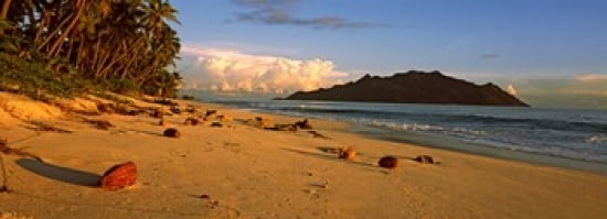 Coconuts on a palm lined beach on North Island with Silhouette Island in the background Seychelles Canvas Art - Panoramic Images (36 x 13)