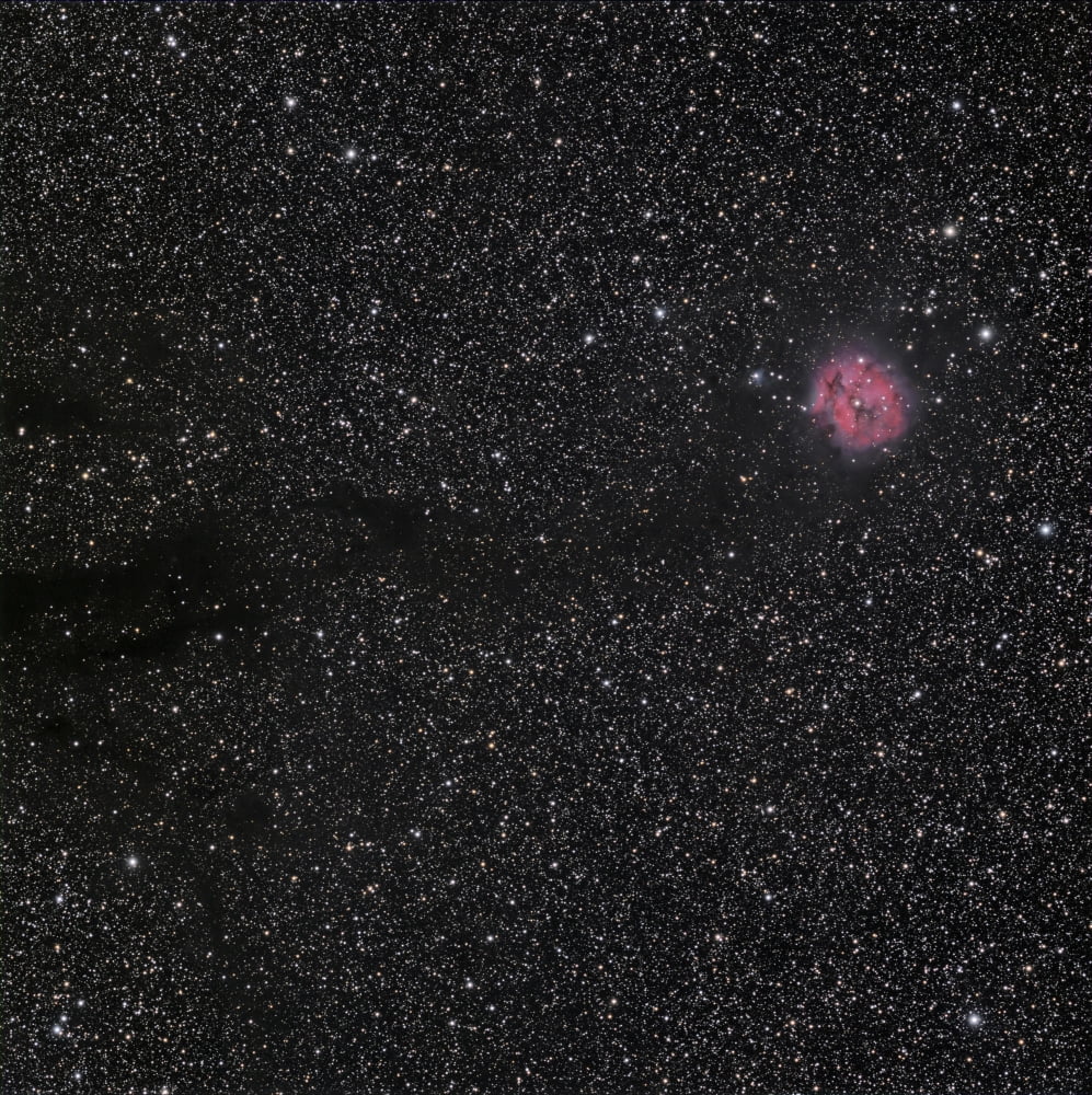 Cocoon Nebula Canvas Art - Phillip JonesStocktrek Images (28 x 28)