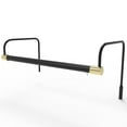 thumbnail image 1 of Cocoweb 16" Tru-Slim Plug-In LED Art Light in Black and Brass, 1 of 5
