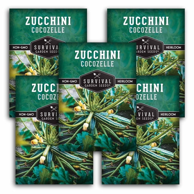 Cocozelle Zucchini Seeds - Full Sun Annual Vegetable - 5 Packs ...