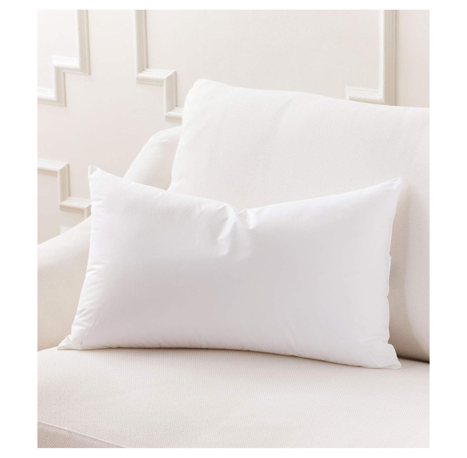 CodYinFI 21x27 Hypoallergenic Luxury 100 Small Feather Rectangular