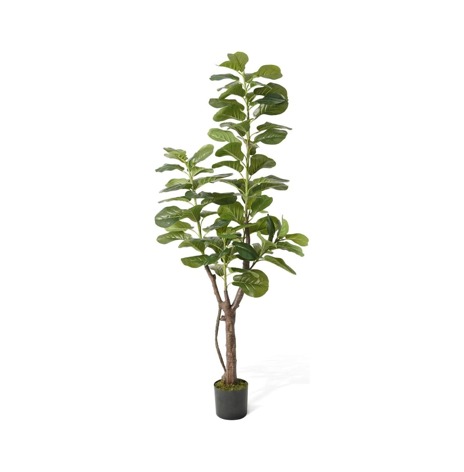 6-Foot Artificial Fiddle Leaf Fig Tree in Black Plastic Pot