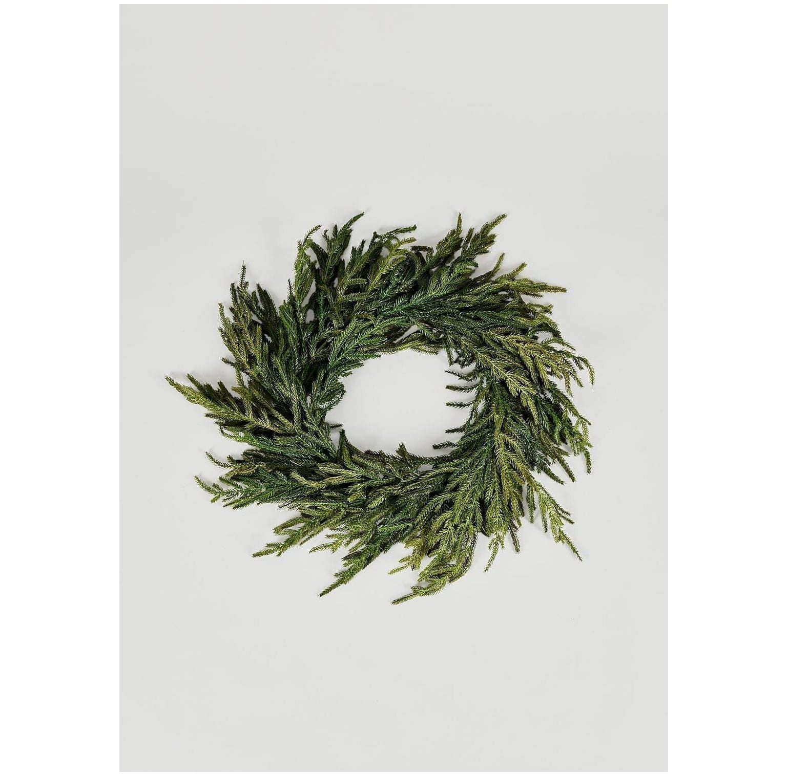 24" Green Artificial Norfolk Pine Christmas Wreath with Grapevine Base