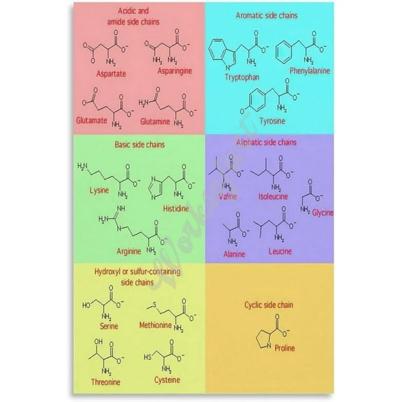 Code For Amino Acids Chart Poster Biology for Living Room Bedroom Kitchen Office Decor