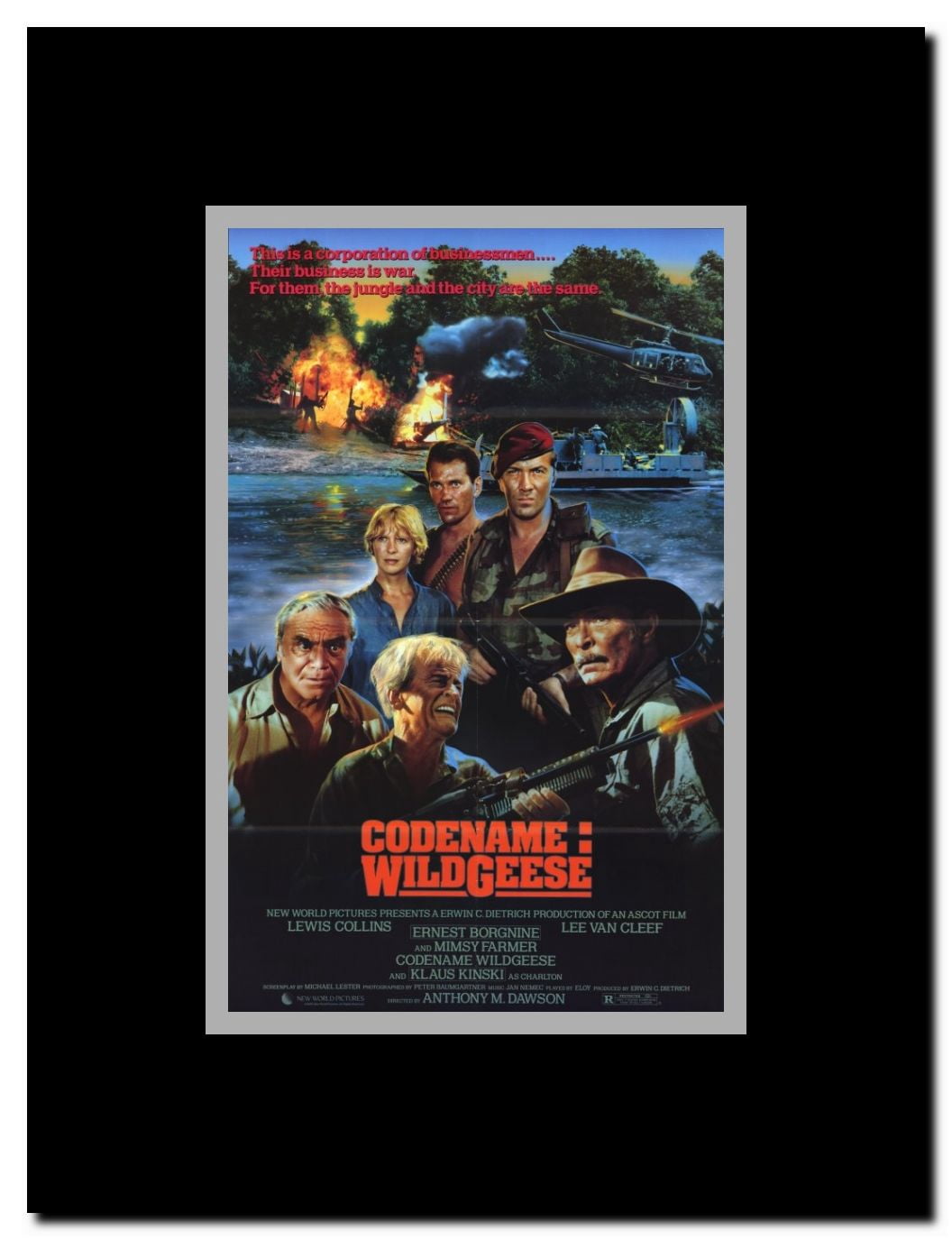 Codename: Wildgeese Framed Movie Poster