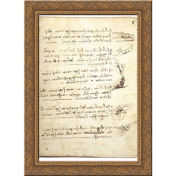 Codex on the flight of birds 24x18 Gold Ornate Wood Framed Canvas Art by Leonardo da Vinci