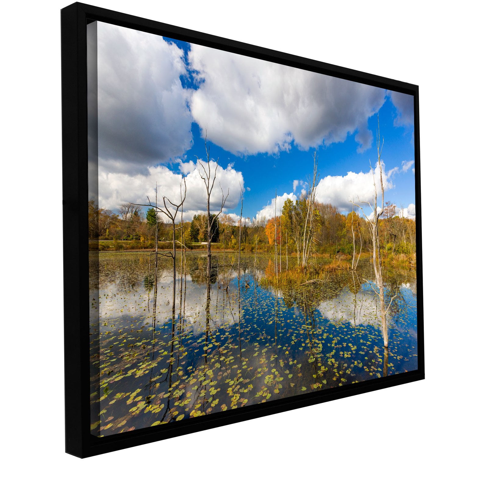 Cody York "Beaver Marsh" Floater-Framed Gallery-Wrapped Canvas