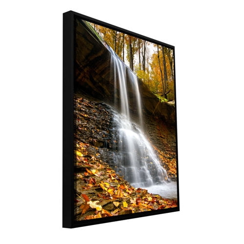Cody York "Blue Hen Falls 2" Floater-Framed Gallery-Wrapped Canvas