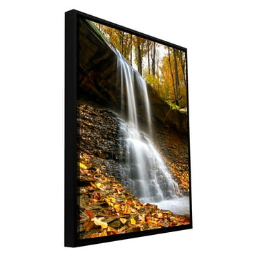 Cody York "Blue Hen Falls 2" Floater-Framed Gallery-Wrapped Canvas