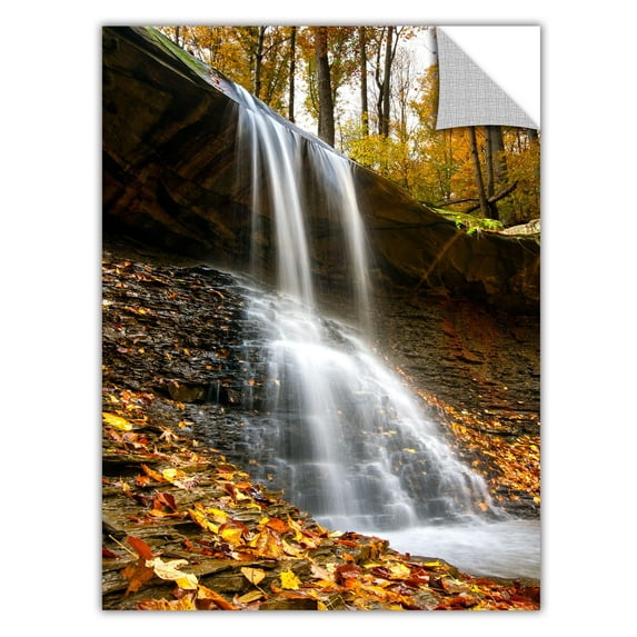 Cody York "Blue Hen Falls 2" Removable Wall Art Graphic