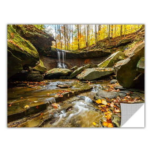 Cody York "Blue Hen Falls 3" Removable Wall Art Graphic
