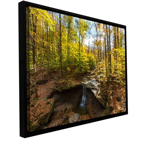 Cody York "Blue Hen Falls" Floater-Framed Gallery-Wrapped Canvas
