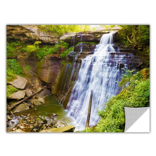 Cody York "Brandywine Falls 2" Removable Wall Art Graphic