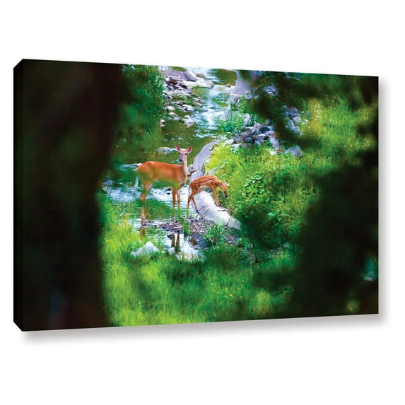 Cody York "Deer" Floater-Framed Gallery-Wrapped Canvas