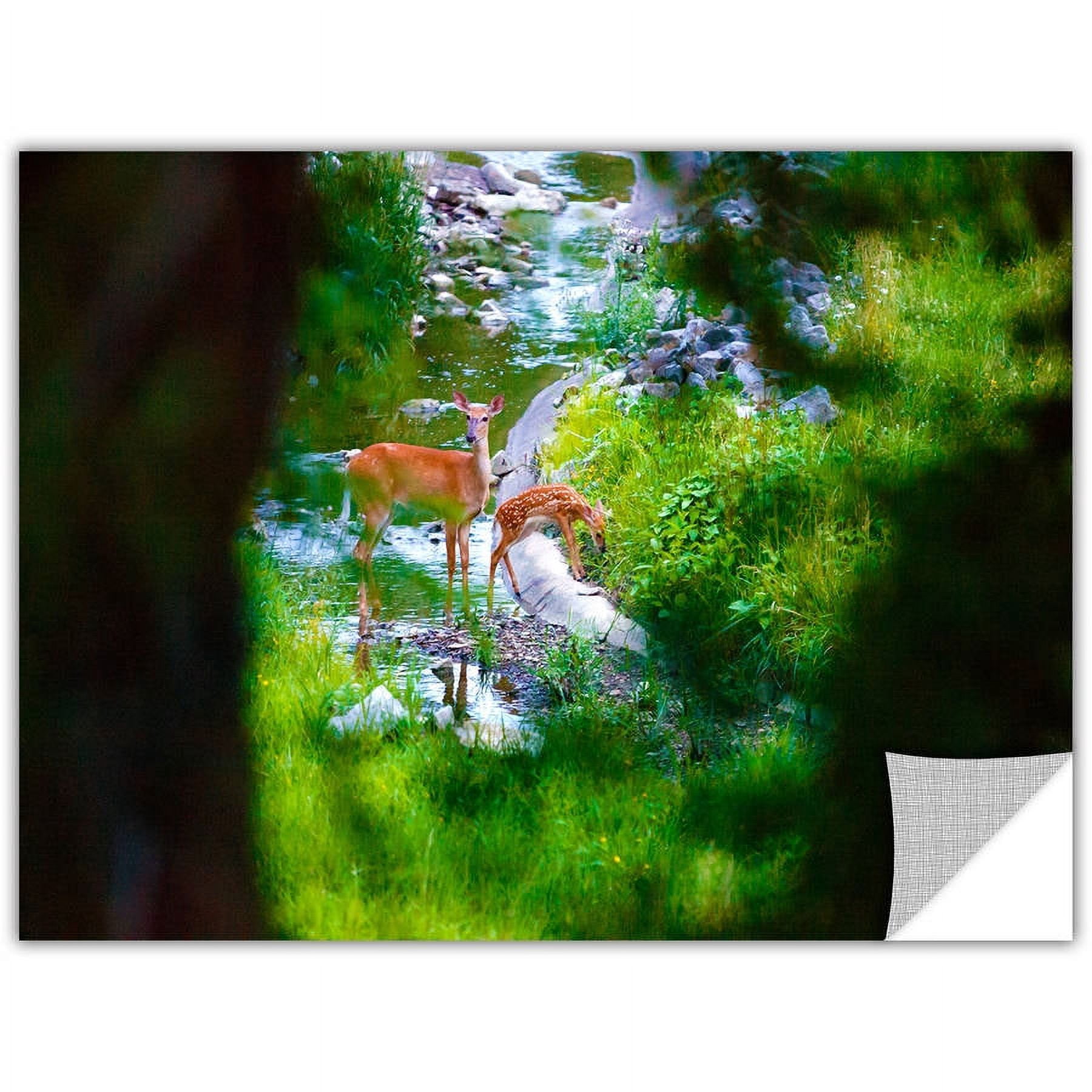 Cody York "Deer" Removable Wall Art Graphic
