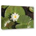 thumbnail image 1 of Cody York "Lilly Pad" Gallery-Wrapped Canvas, 1 of 3