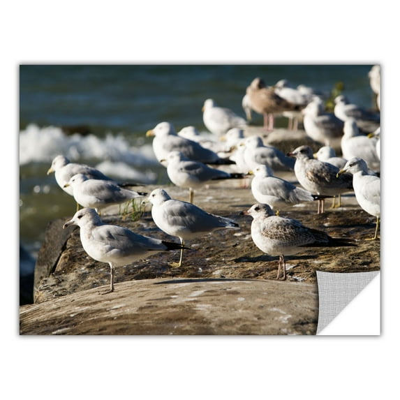 Cody York "Pigeons" Removable Wall Art Graphic