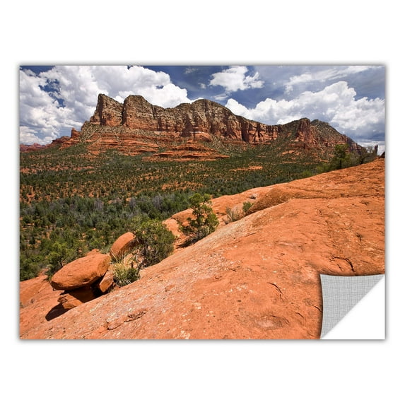 Cody York "Sedona 1" Removable Wall Art Graphic