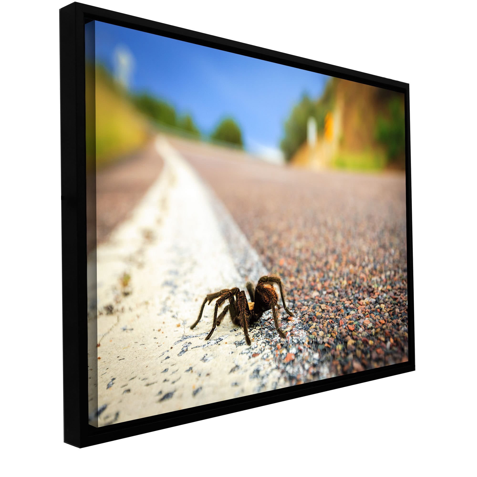 Cody York "Tarantula" Floater-Framed Gallery-Wrapped Canvas