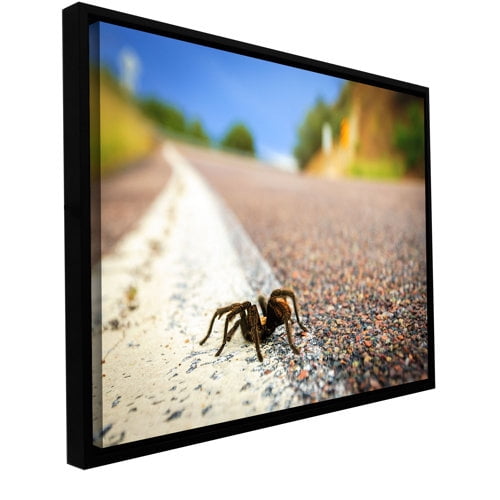 Cody York "Tarantula" Floater-Framed Gallery-Wrapped Canvas