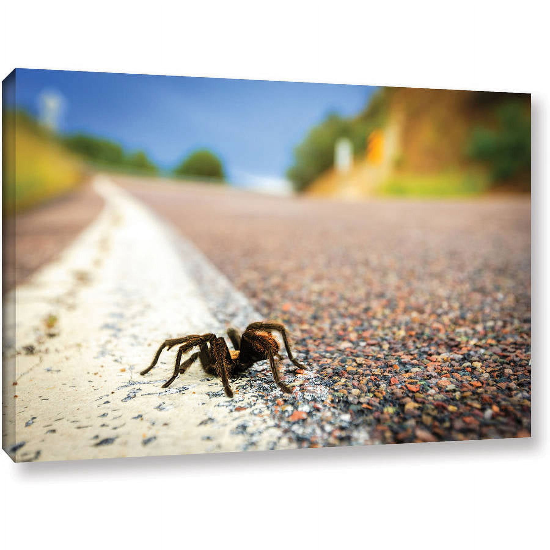 Cody York "Tarantula" Gallery-Wrapped Canvas